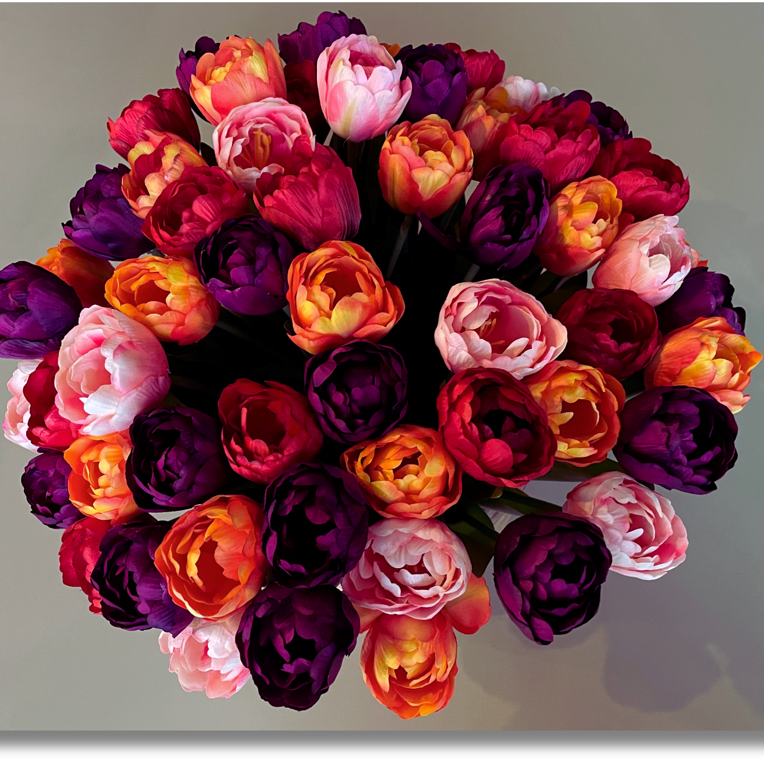 Pioen tulpen - rood - paars - oranje - roze